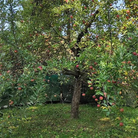 Holiday home Domecek U Brna, Klid & Wi-fi *